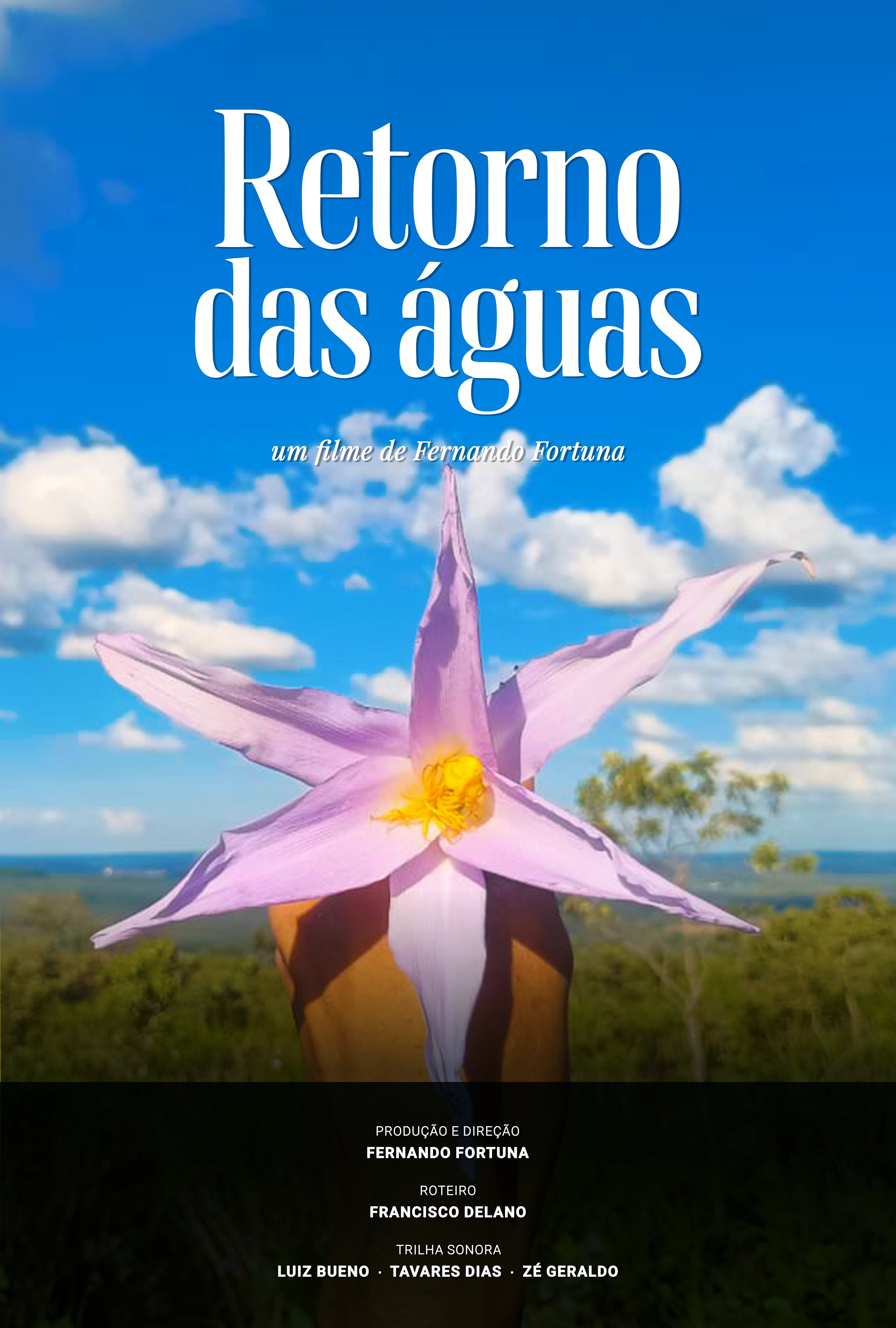 Cartaz oficial de Retorno das águas